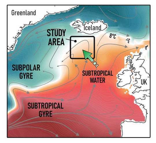 Seabed Fossils Show The Ocean Is Undergoing A Change Not Seen For 10,000 Years