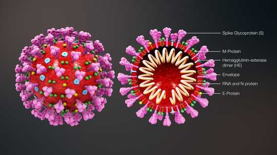 Will Warmer Weather Stop The Spread Of Coronavirus?