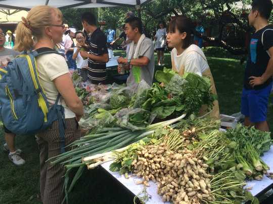 Why China Is Emerging As A Leader In Sustainable And Organic Agriculture