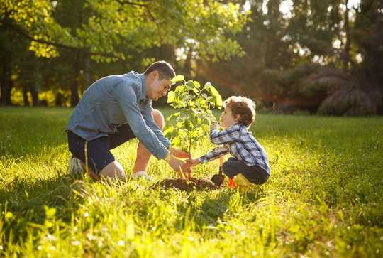 Here Are 5 Practical Ways Trees Can Help Us Survive Climate Change