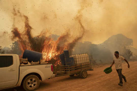 A volunteer tries to douse a fire on Transpantaneira road in the Pantanal wetlands near Pocone, Mato Grosso state, Brazil, on Sept. 11, 2020.