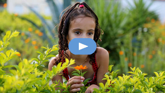 young girl in a field of plants and flowers