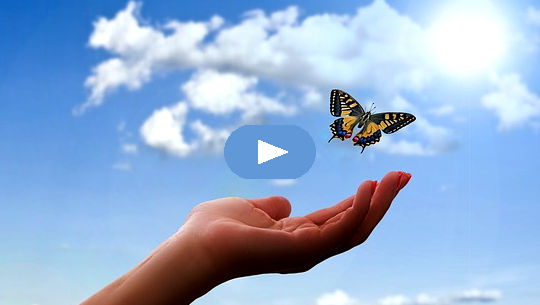 butterfly above an open hand and open sky