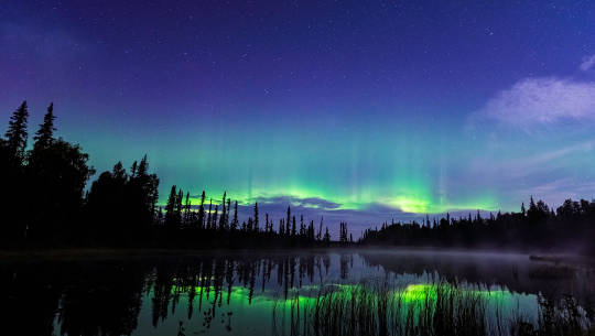 Aurora Borealis (Northern Lights) photo by Chris Moss on August 30, 2021, Trapper Creek, Alaska, USA