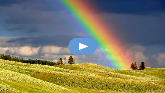 rainbow over a field