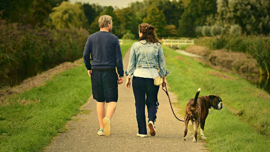 man, woman, and dog on a leash walking down a path