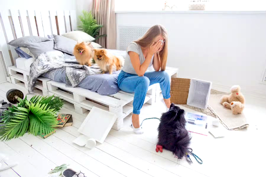 a woman sitting at the end of a bed with two dogs behind her and one dog at her feet