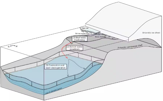 drawing showing shelf waters and reduction of the flow of dense water