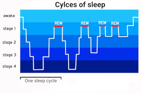 getting enough sleep2 3 5