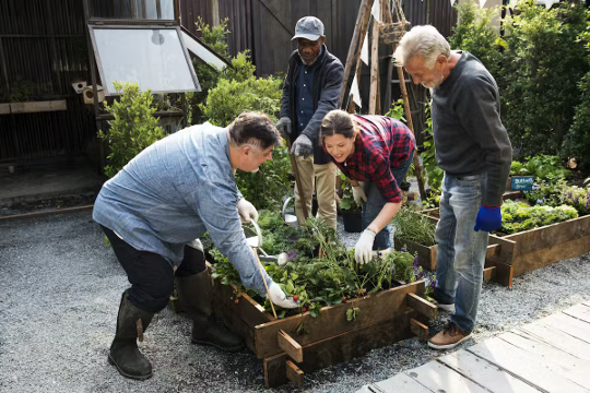 working in the garden for health 5 10