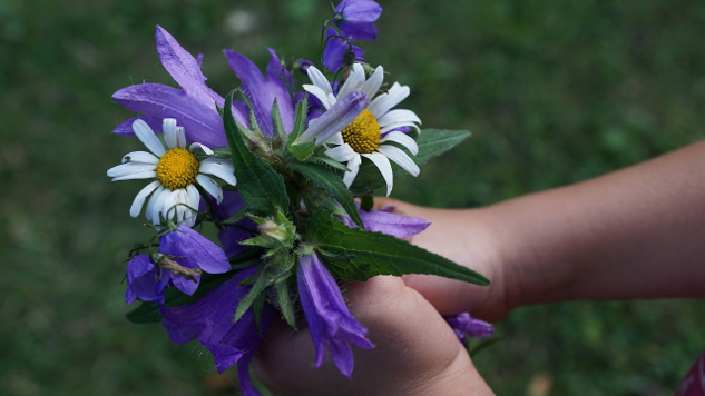 bouquet of flowers