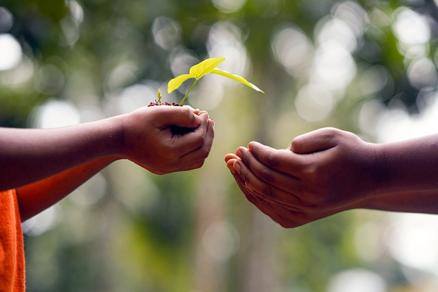 a pair of hands offering the gift of a plant to another set of hands