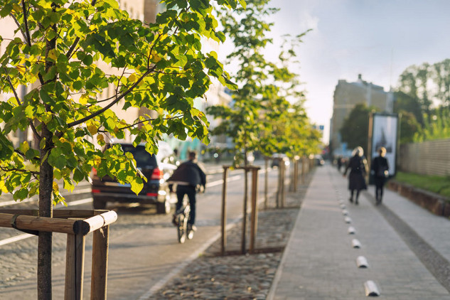 Planting trees in urban areas offers numerous health benefits, including improved air quality and reduced heat.