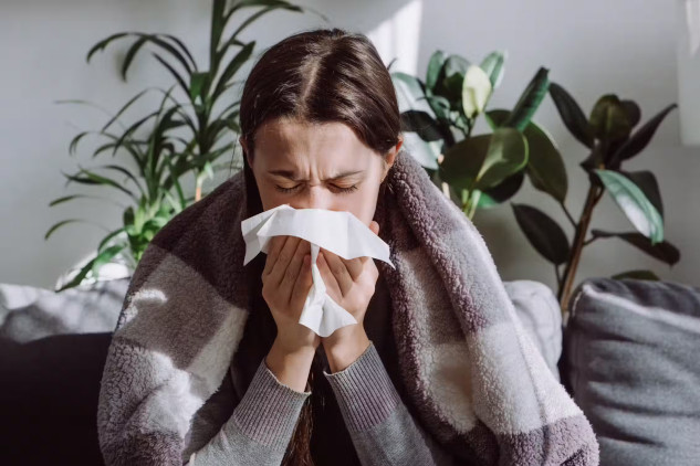 A person sitting indoors with natural light, surrounded by plants, emphasizing the positive impact of the indoor microbiome on health.