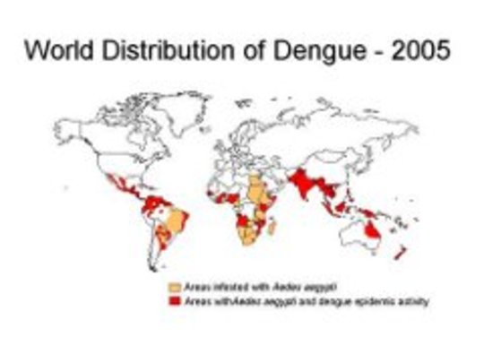 Degue Fever Moving North