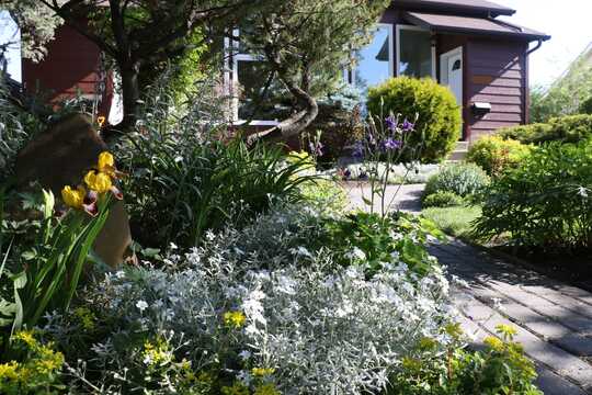 Front yard of a house