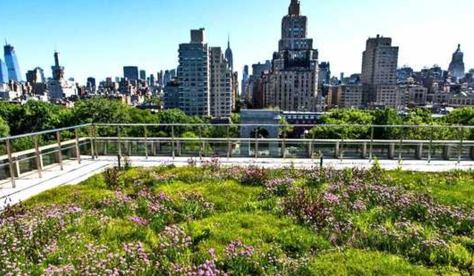 Big Cities Go Green To Fight Against Climate Change