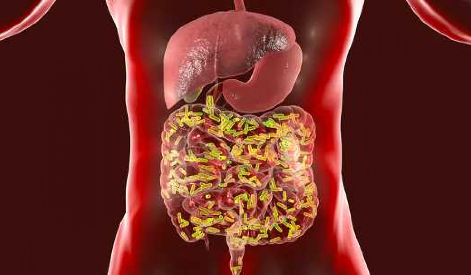 Why A Healthy Microbiome Builds A Strong Immune System That Could Help Defeat Covid-19