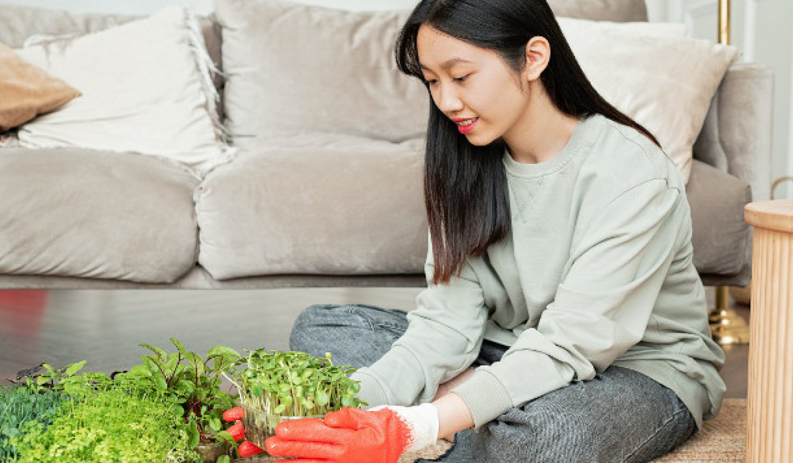 Unlocking the Power of Microgreens: Nutrient-Rich and Flavorful Shoots