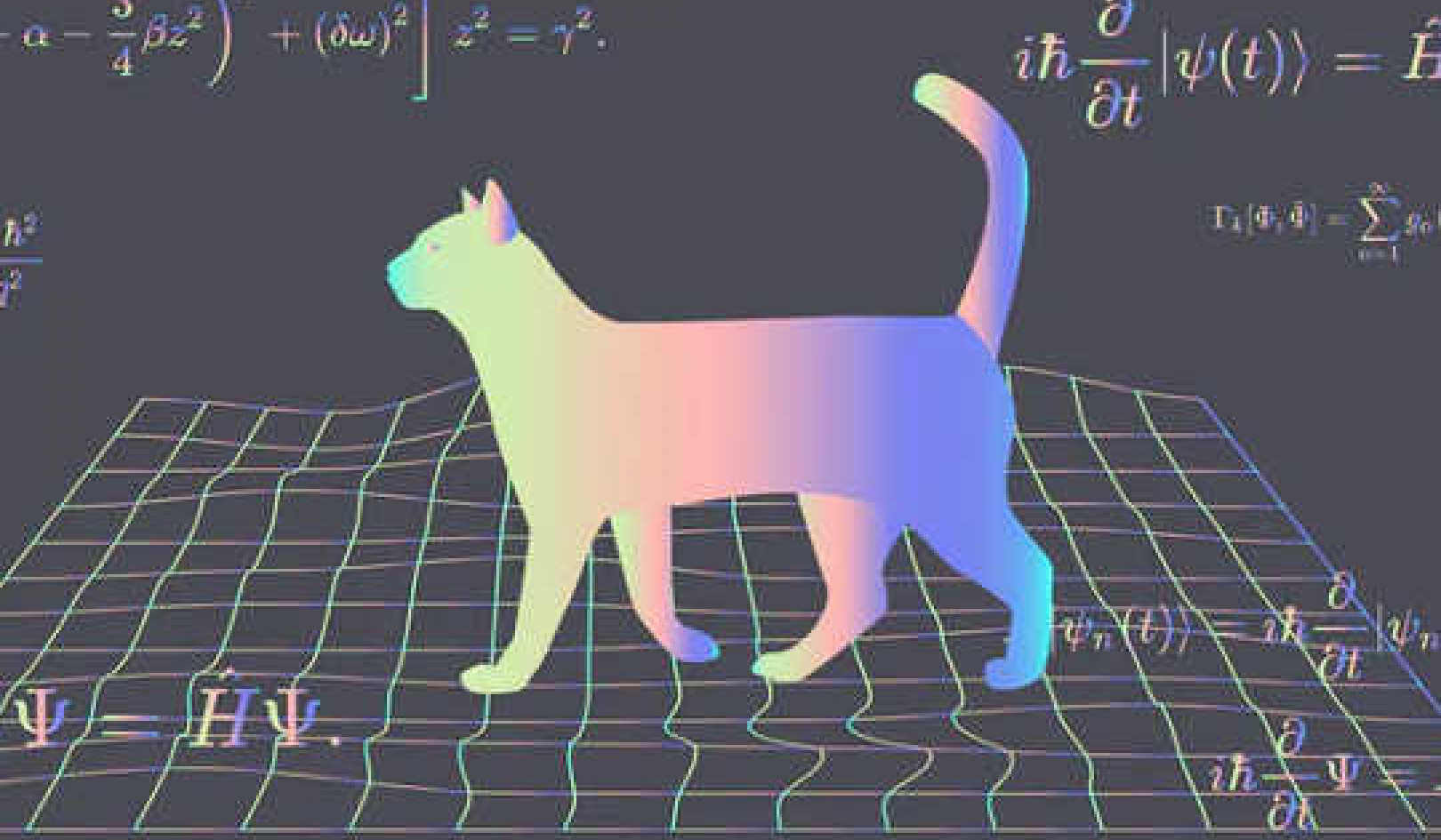 Could Schrödinger's Cat Exist In Real Life?