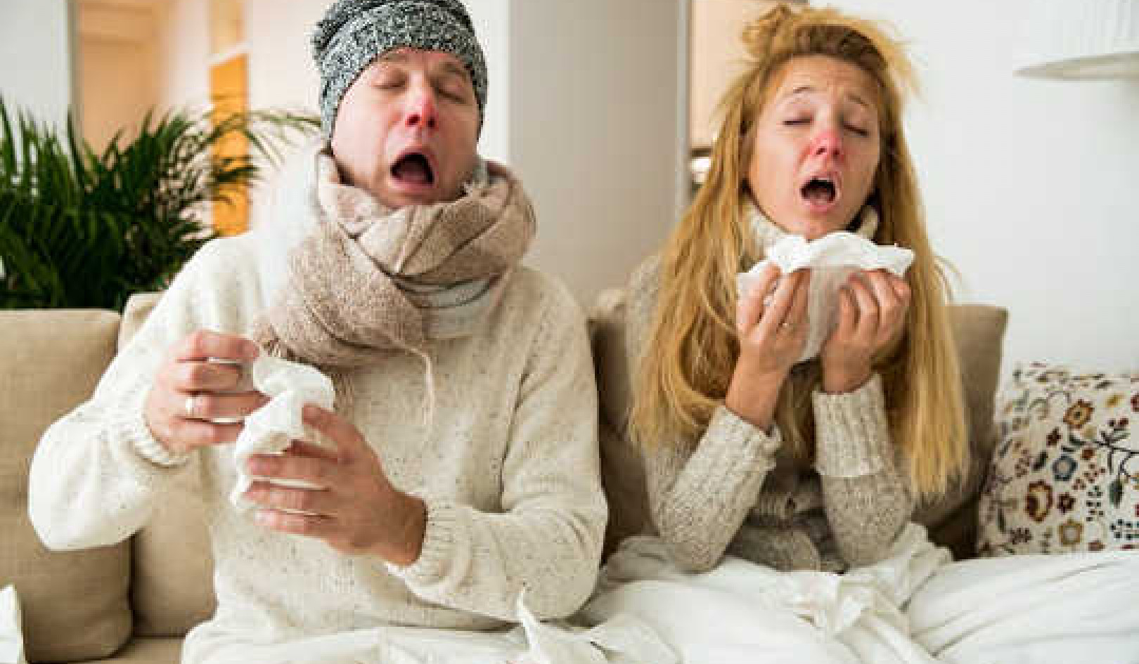 Sore Throat, Cough And Phlegm – All You Need To Know About Your Horrible Cold