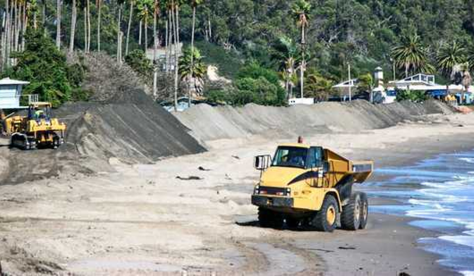 Grooming Beaches For 