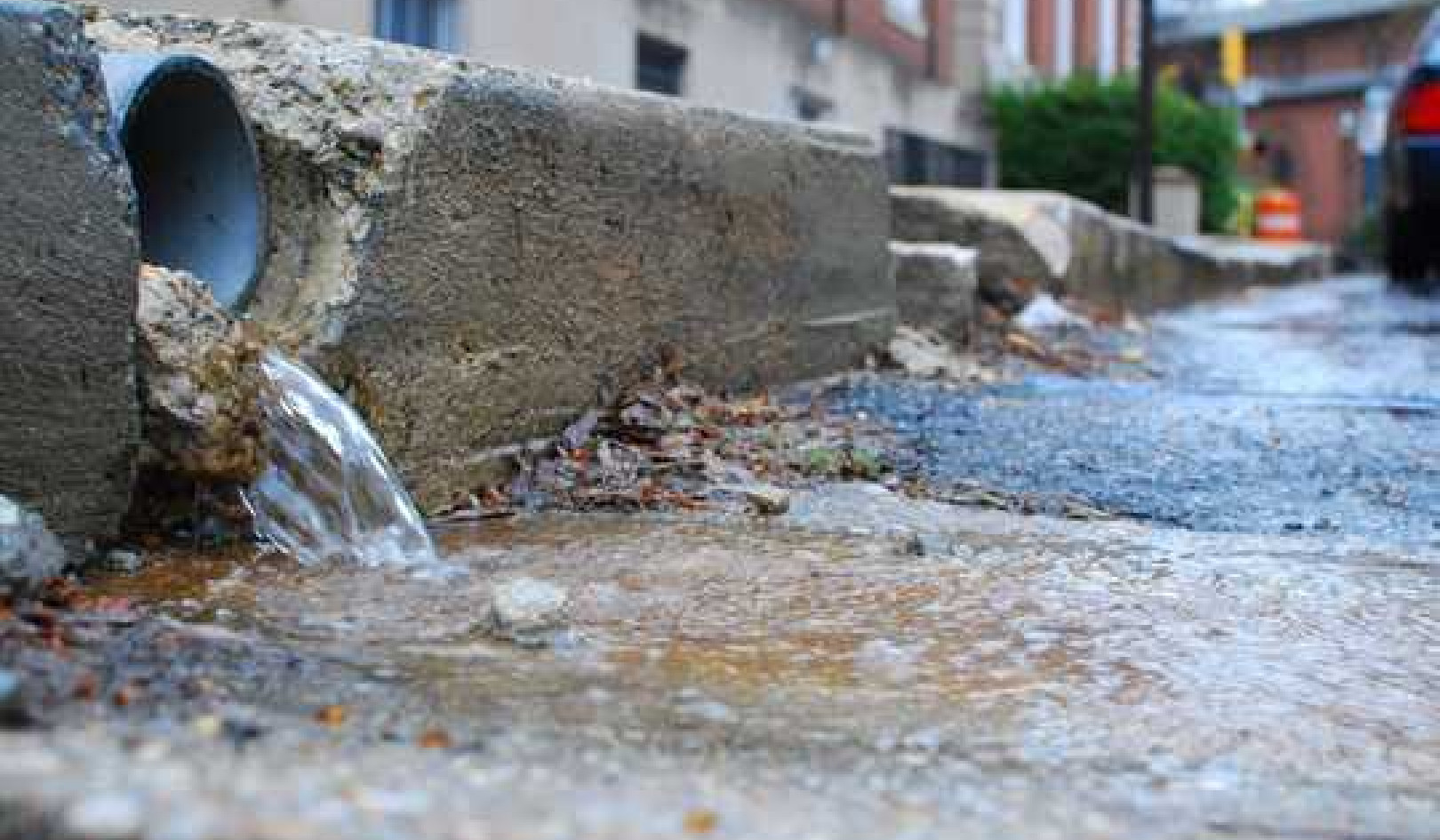 How Your Garden Could Help Stop Your City Flooding