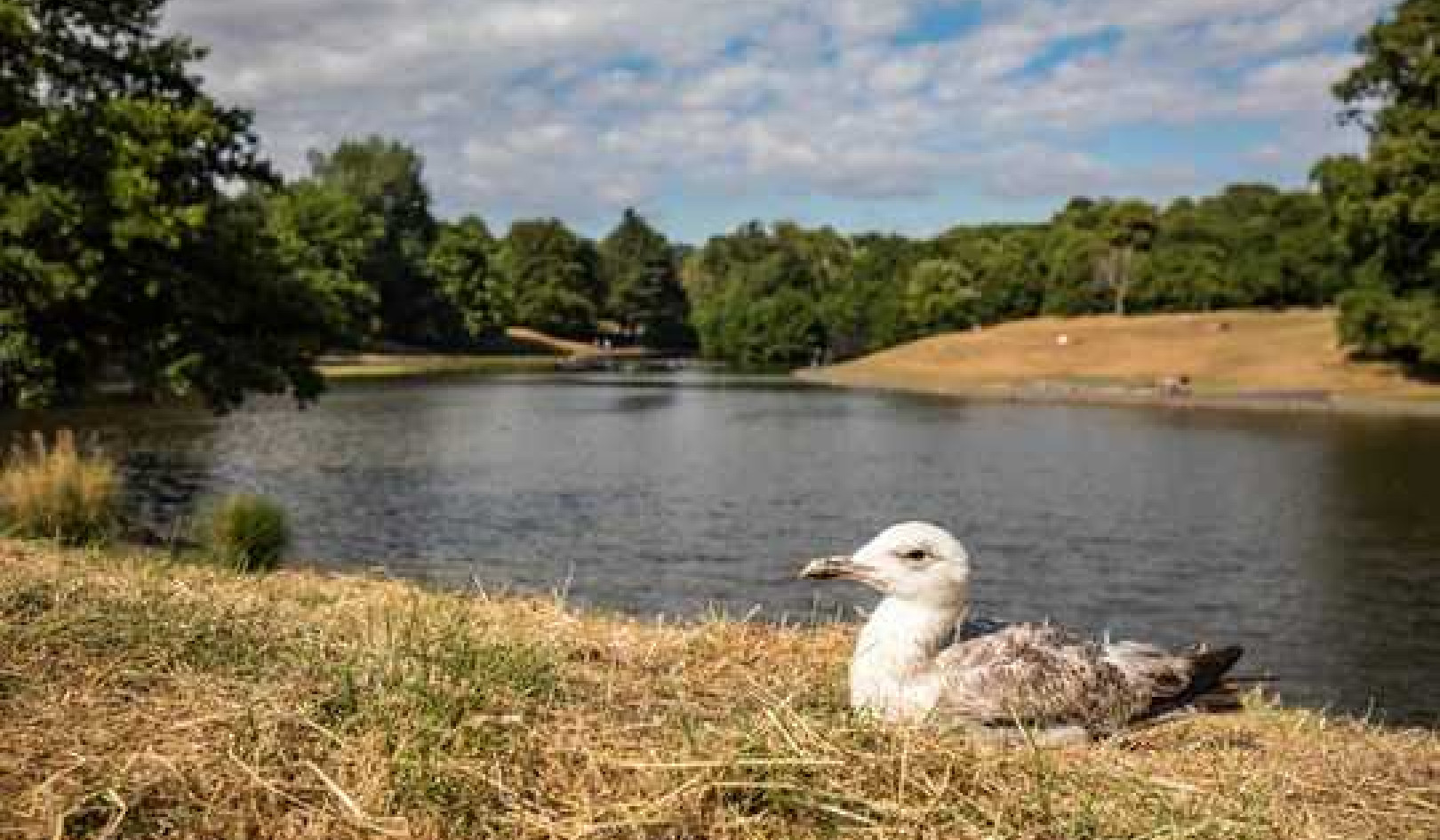 Animals Will Struggle To Adapt Fast Enough To Cope With Climate Change