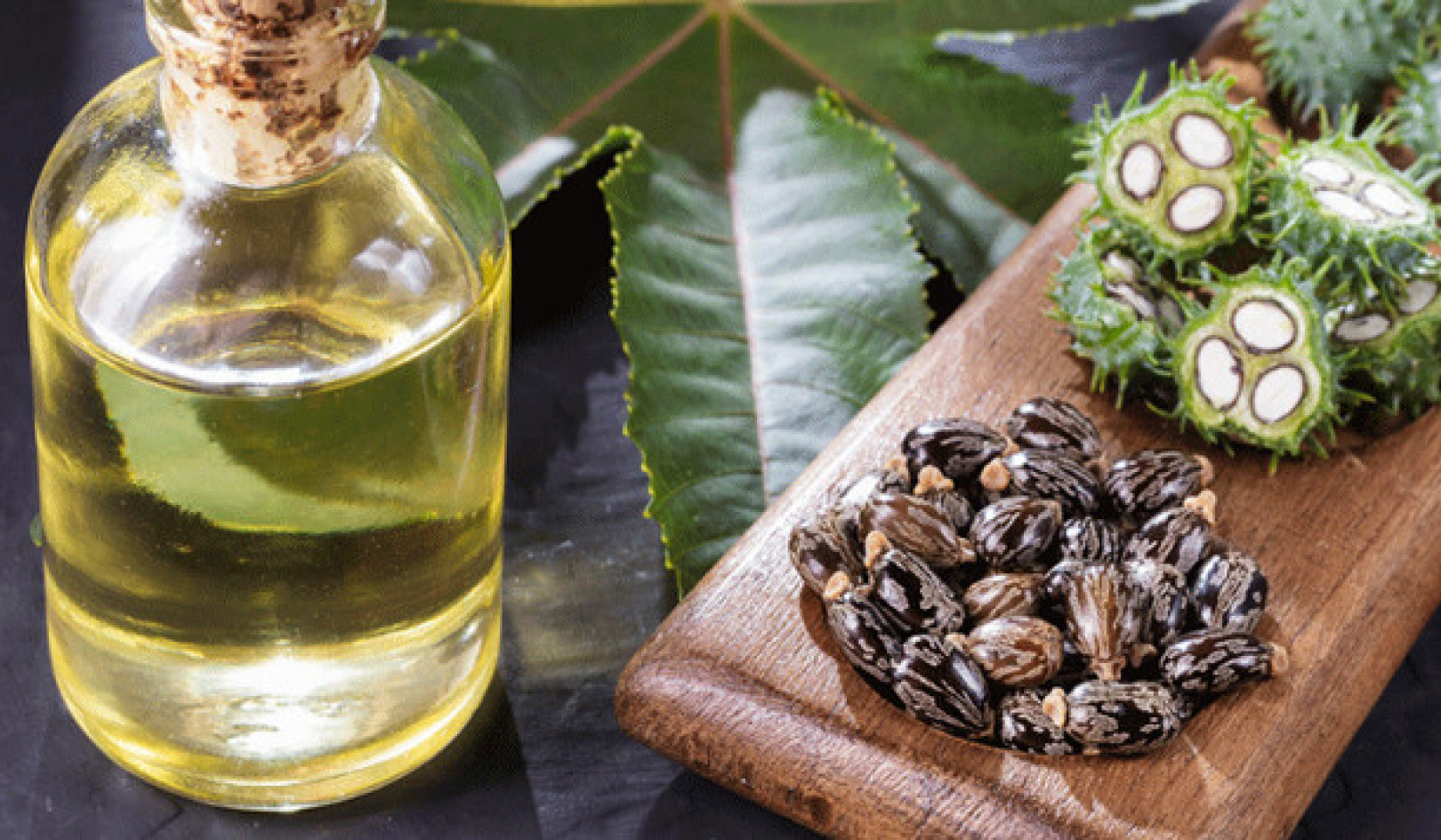 Castor Oil Benefits: What You Need to Know