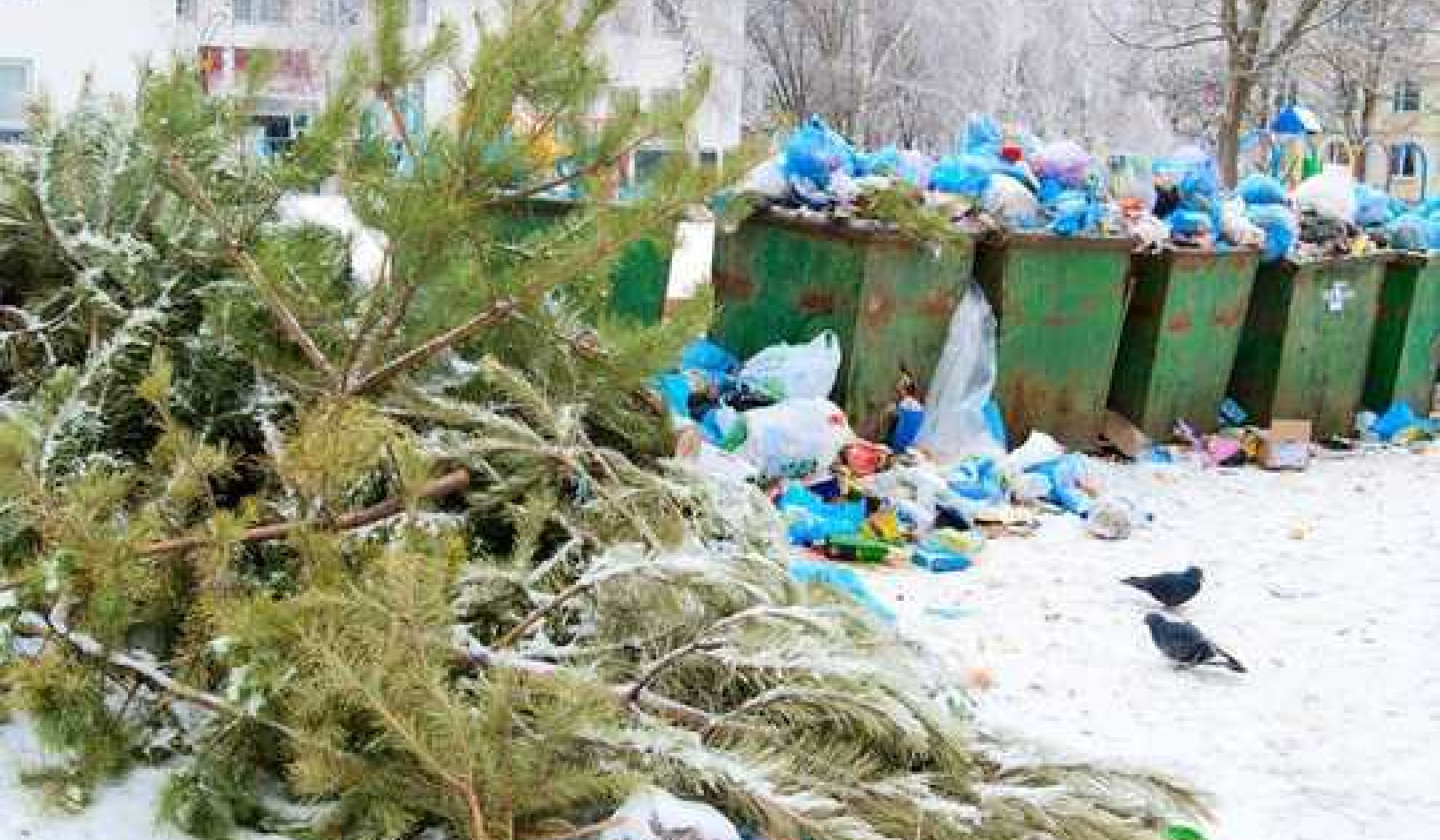 ’Tis The Season To Redesign and Reduce Our Waste