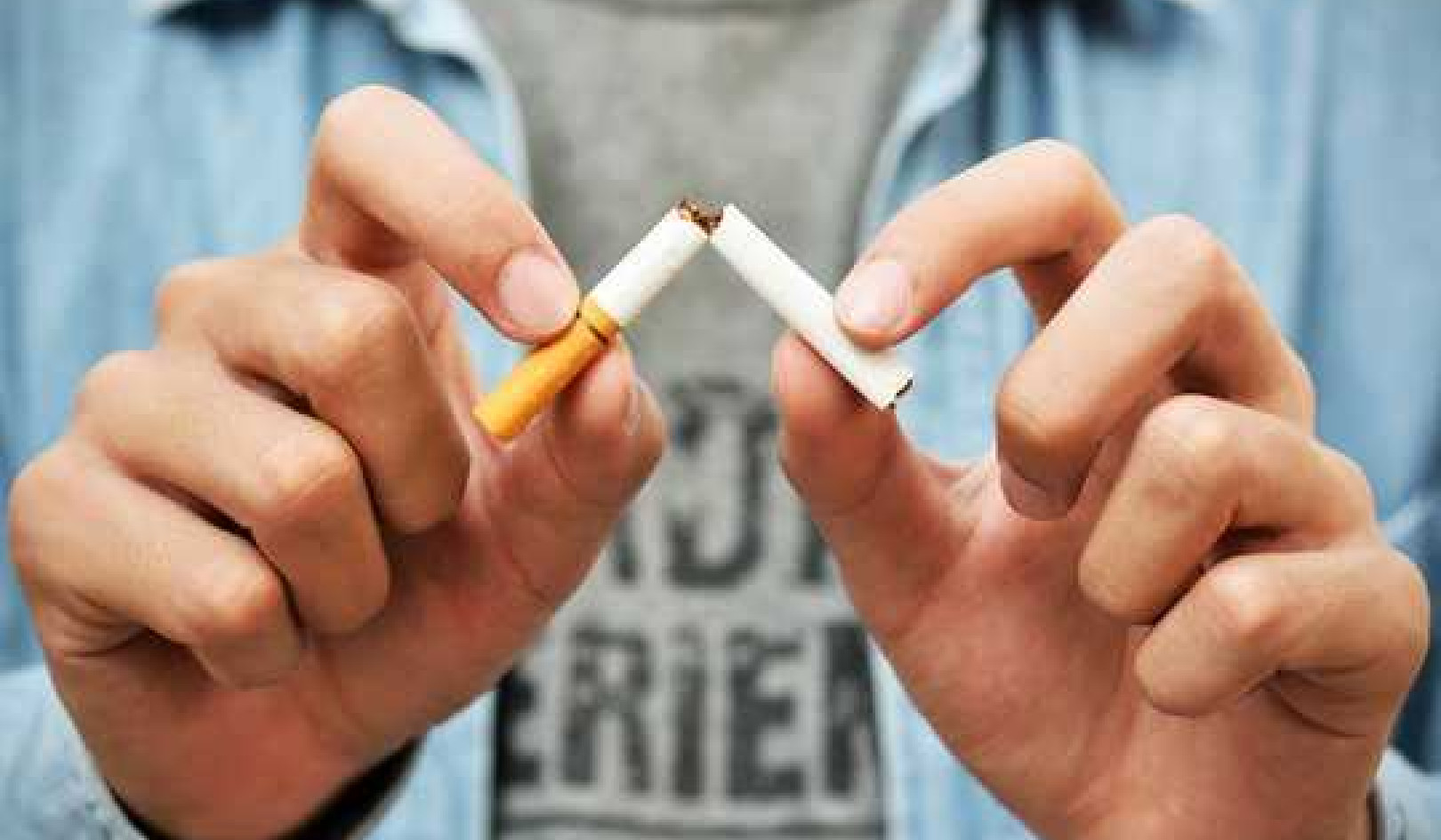 New Research: Quitting Smoking Regrows Protective Lung Cells