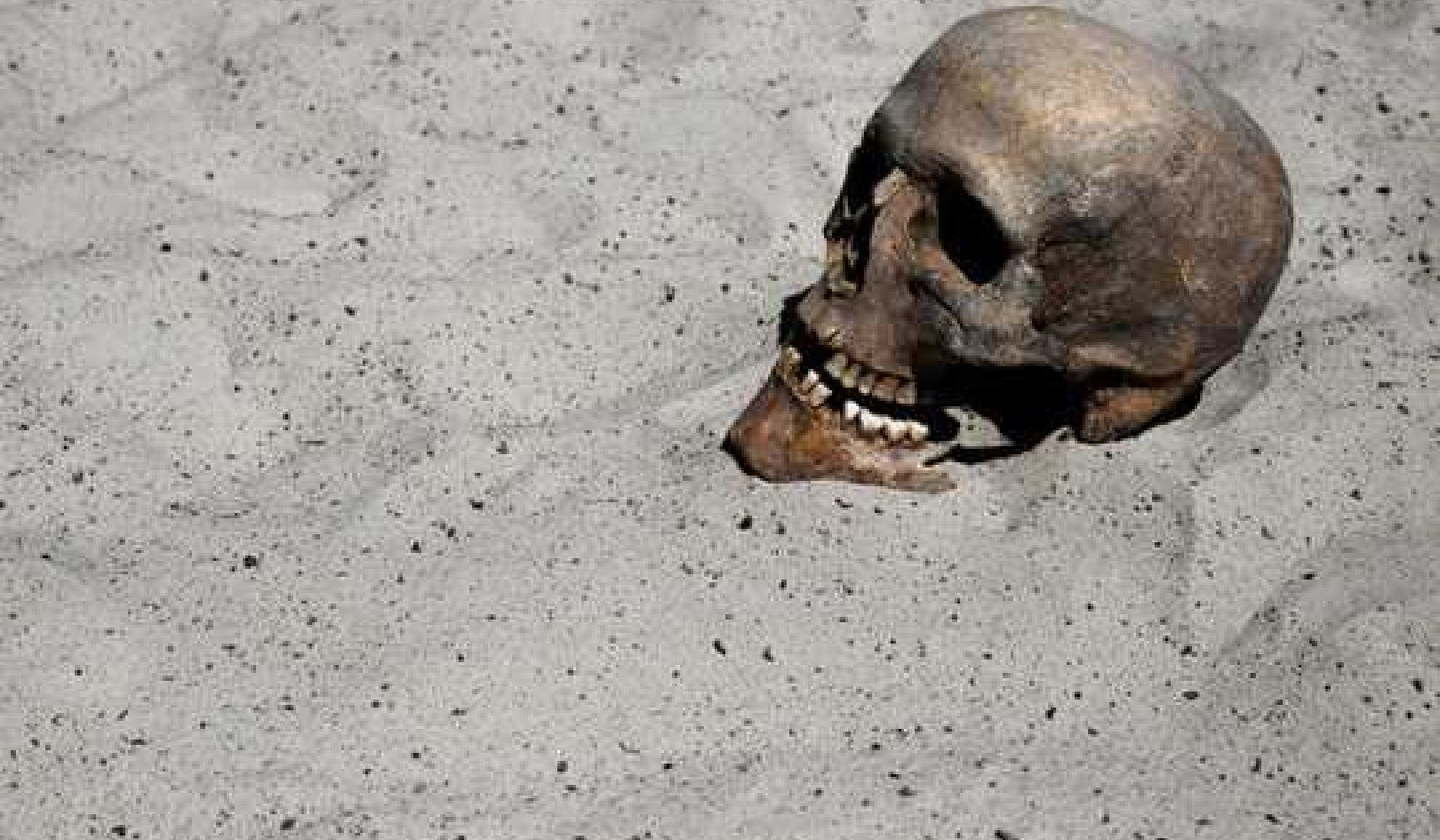 Will Climate Change Cause Humans To Go Extinct?