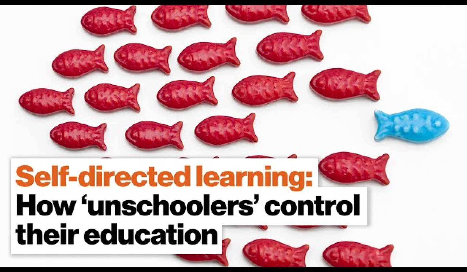 How Unschoolers Control Their Education With Self-directed Learning