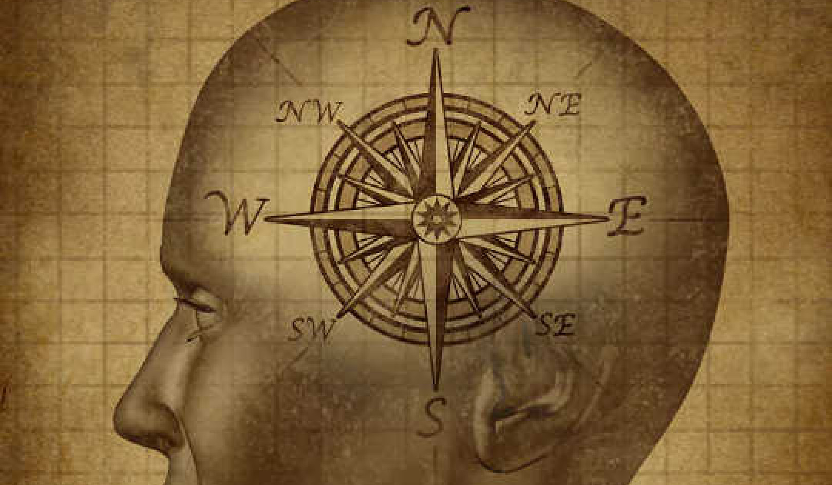 Do You Have A Magnetic Compass In Your Head?