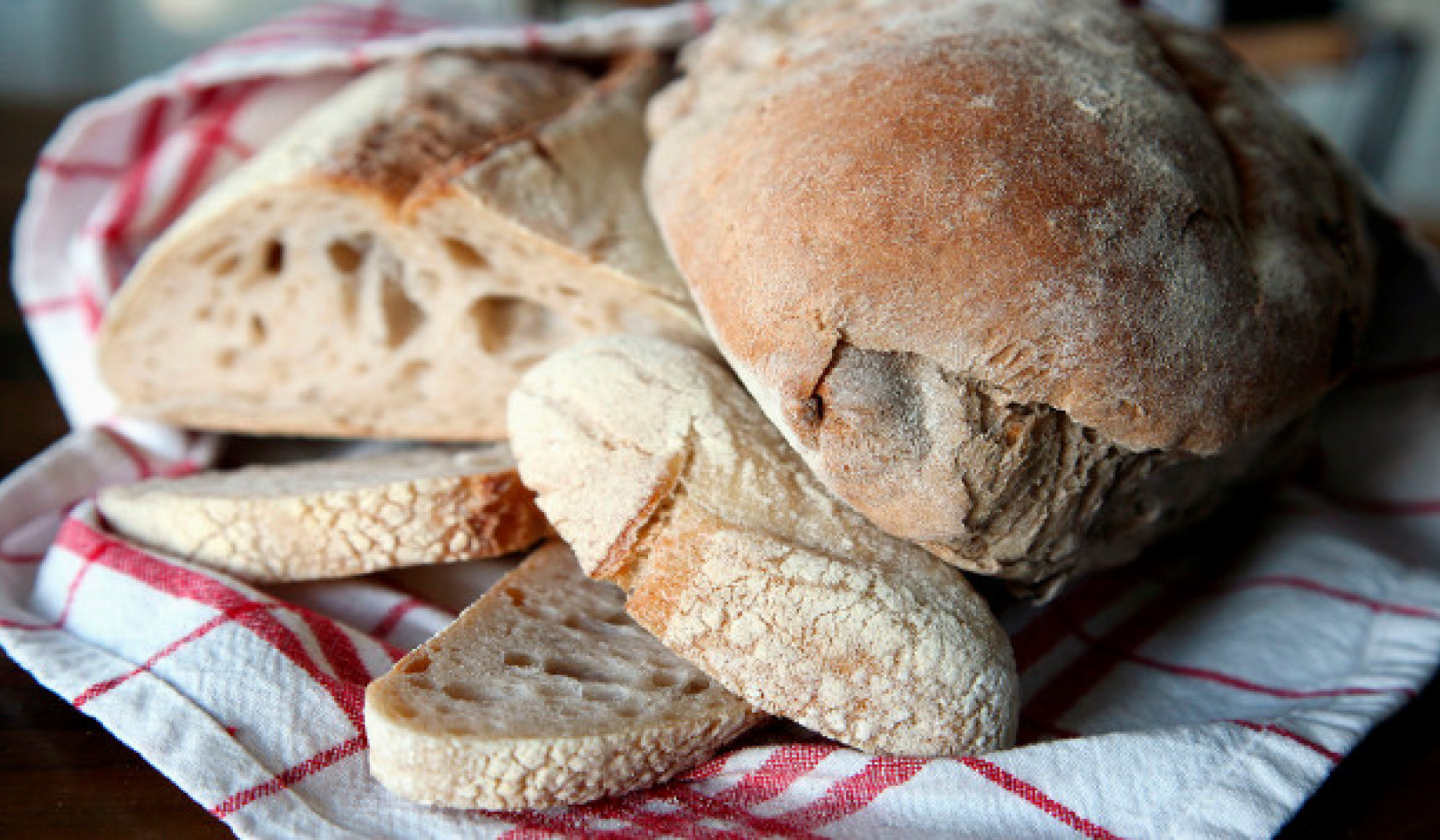 Baking a Difference: Choosing Flour for Sourdough Starters