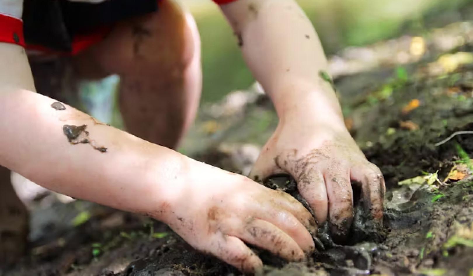 The Unseen Life of Soil: How Tiny Creatures Support Our World