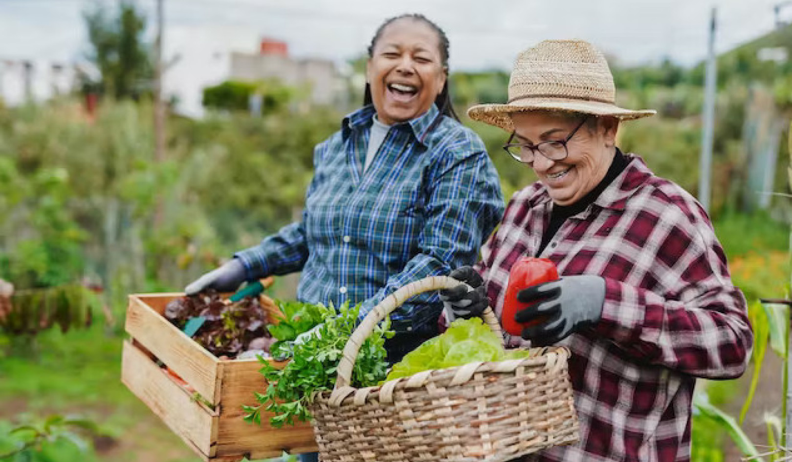 Harnessing Migrant Potential for a More Sustainable World