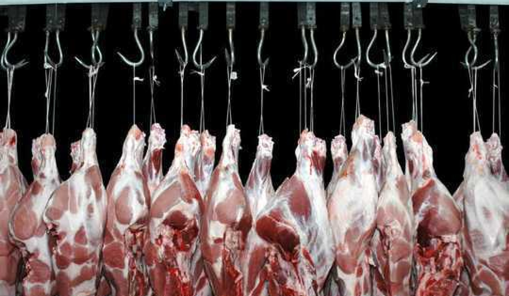 5 Ways Meat Is Killing The Planet