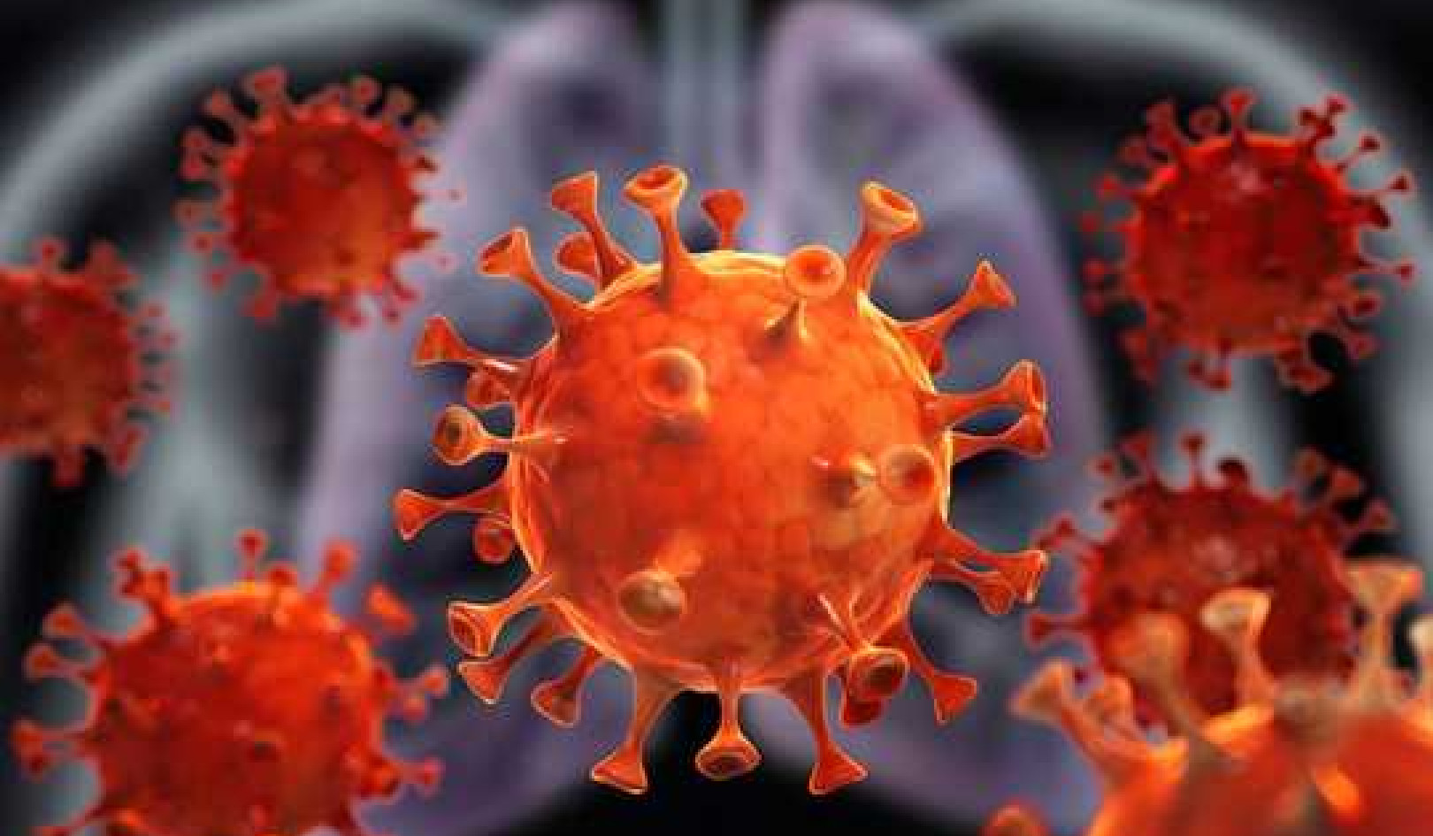 4 Unusual Things We've Learned About The Coronavirus Since The Start Of The Pandemic