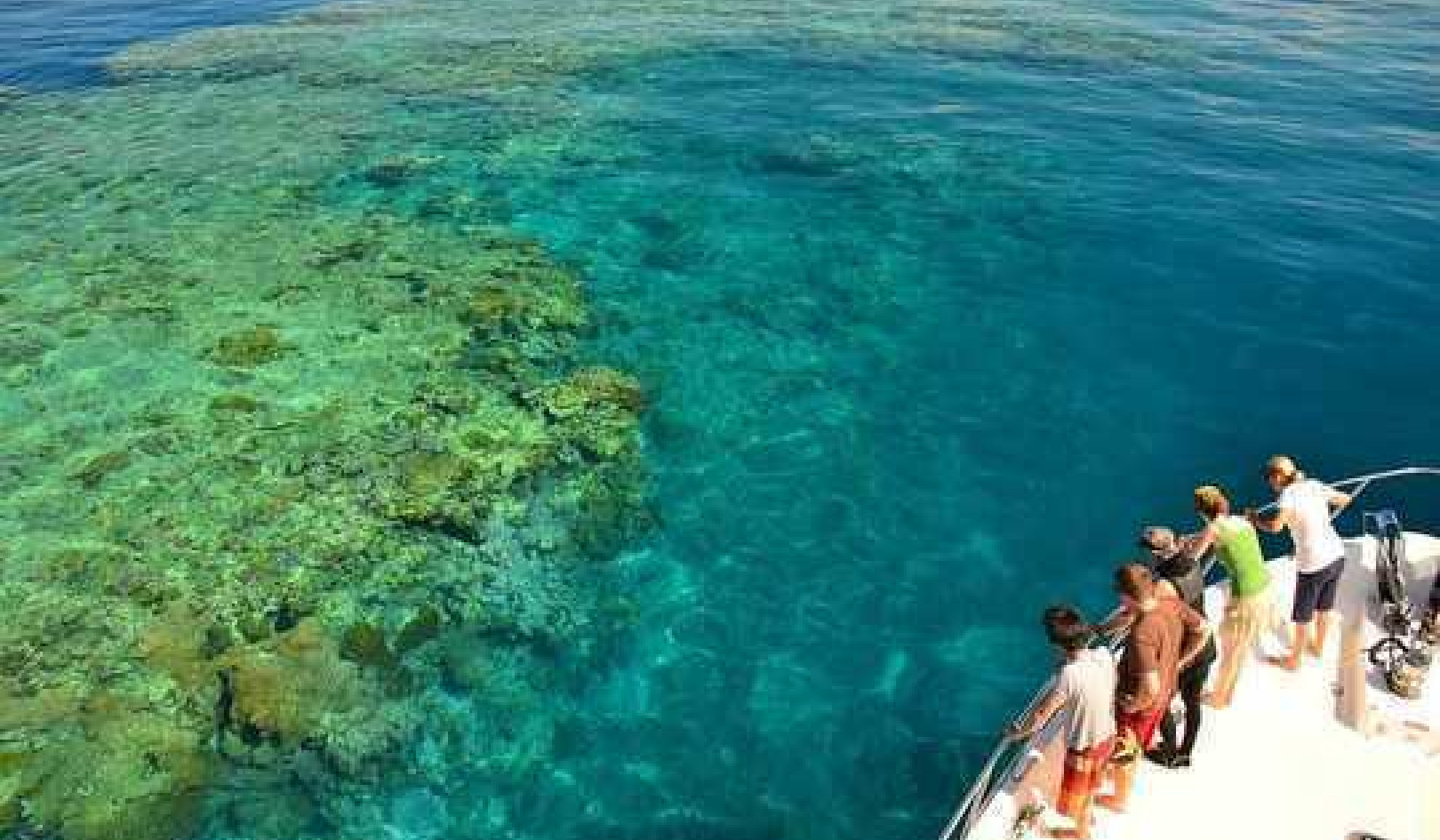 Sadness, Disgust, Anger: Fear For The Great Barrier Reef Made Climate Change Feel Urgent