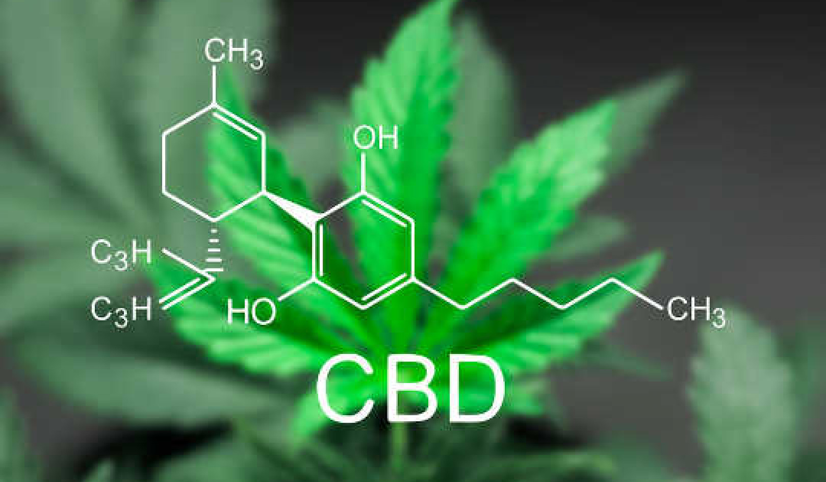 Cannabis Compounds Have Been Shown To Slow Colon Cancer In The Lab