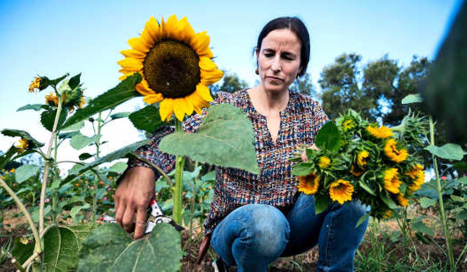 How People Find Freedom And Joy In Their Gardens