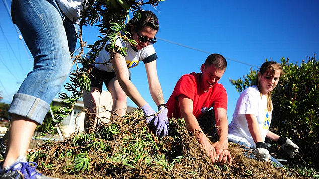 people working in a graden