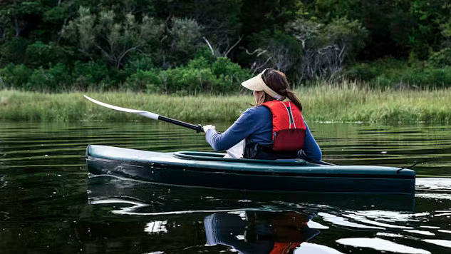 A scenic view of nature, symbolizing Americans’ love for the environment and the emotional connection that could inspire climate action.