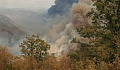 Temperature Rise Will Fan Forest Flames