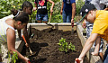 canden community garden