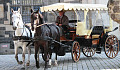 A Life Path Metaphor: Two Horses, A Carriage, A Driver, and A Passenger