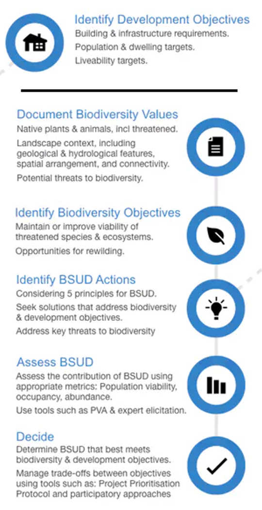 steps in the biodiversity sensitive urban design approach