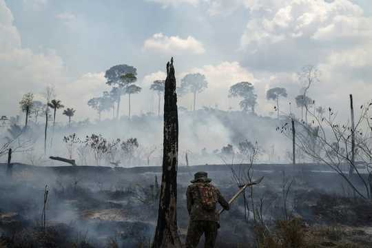 Dwindling Tropical Rainforests Mean Lost Medicines Yet To Be Discovered In Their Plants