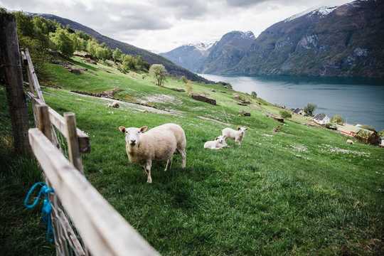 3 Ways Farms Of The Future Can Feed The Planet And Heal It Too